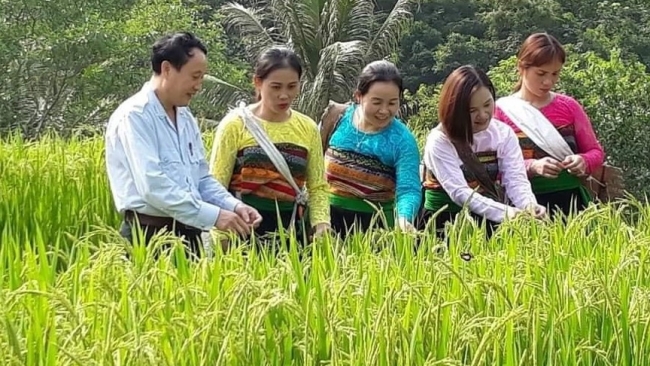 Thanh Hóa huy động nguồn lực, giảm nghèo bền vững