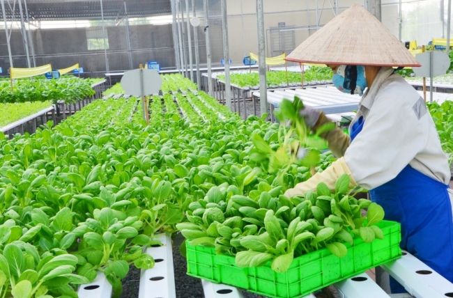 thuc day kinh te tuan hoan carbon thap thong qua doi moi cong nghe sach