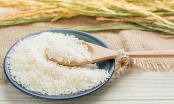 Ngày 30/12: Giá lúa gạo tại Đồng bằng sông Cửu Long trầm lắng