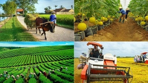 Ngành Nông nghiệp và Môi trường tiếp tục khẳng định vai trò trụ cột