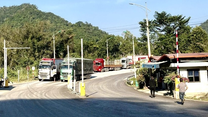 Lạng Sơn, Lào Cai: Xuất nhập khẩu sôi động, thông quan hơn 45 triệu USD hàng hóa/ngày