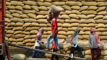 Thị trường nông sản: Giá gạo Ấn Độ chạm đỉnh ba tháng ở mức 355 - 360 USD/tấn