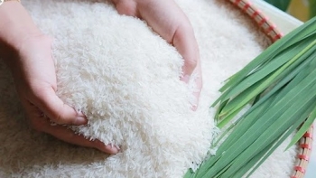 Ngày 4/1: Giá gạo trong nước và xuất khẩu tiếp tục trầm lắng