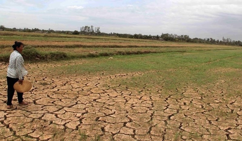 Việt Nam chung tay hiện thực hoá các mục tiêu Công ước chống sa mạc hoá