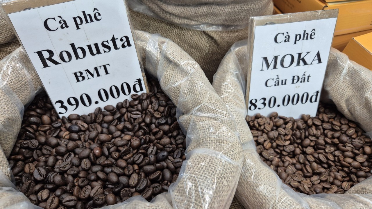Ngày 12/1: Giá cà phê neo ở ngưỡng cao, hồ tiêu quanh mốc 150.000 - 152.500 đồng/kg