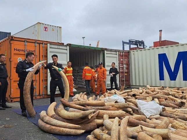 Hải quan triệt phá nhiều điểm nóng buôn lậu