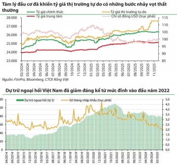 Điều hành tỷ giá linh hoạt trong "vùng nhiễu động"