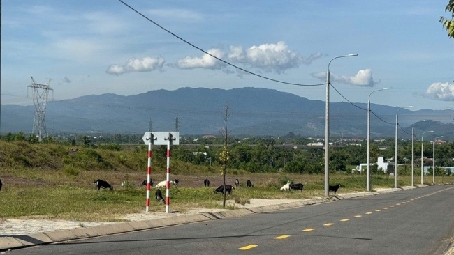 Đà Nẵng: Đẩy nhanh tiến độ đầu tư hạ tầng cụm công nghiệp, tránh lãng phí nguồn lực