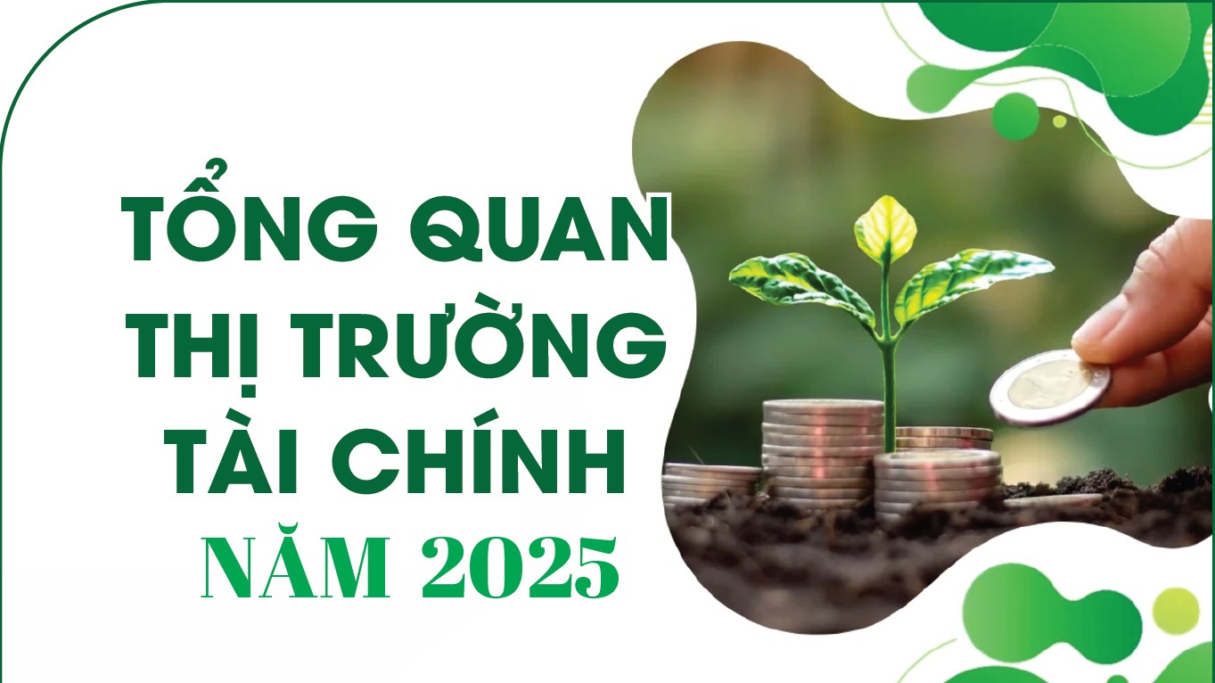Infographics: Tổng quan thị trường tài chính trong năm 2025