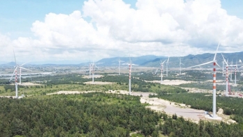 Điện gió khởi sắc trong bức tranh thu hút đầu tư của Gia Lai