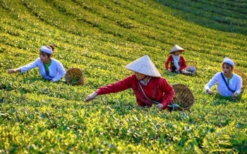 Hỗ trợ doanh nghiệp, xử lý kịp thời các khó khăn, vướng mắc phát sinh để duy trì đà tăng trưởng xuất khẩu