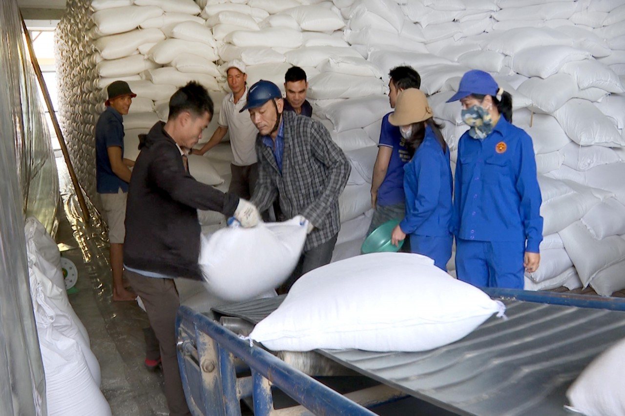 Xuất cấp hơn 920 tấn gạo dự trữ quốc gia hỗ trợ nhân dân tỉnh Lạng Sơn, Tuyên Quang dịp Tết Nguyên đán Bính Ngọ