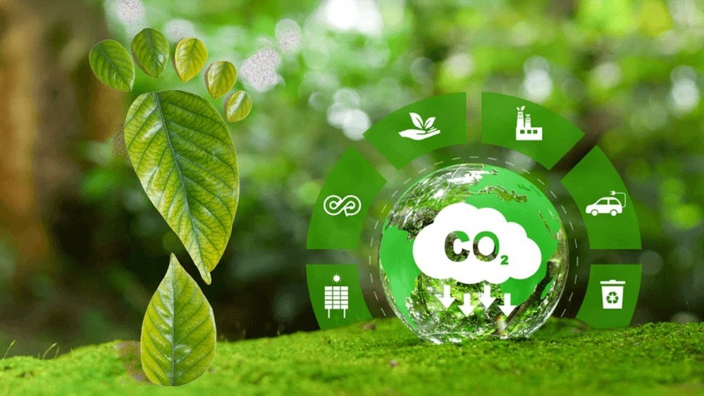 Quy định về sàn giao dịch các-bon trong nước