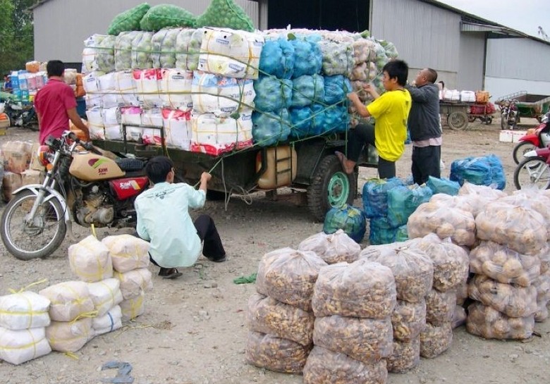 Hàng nông sản chưa qua chế biến áp dụng thuế suất giá trị gia tăng thế nào?