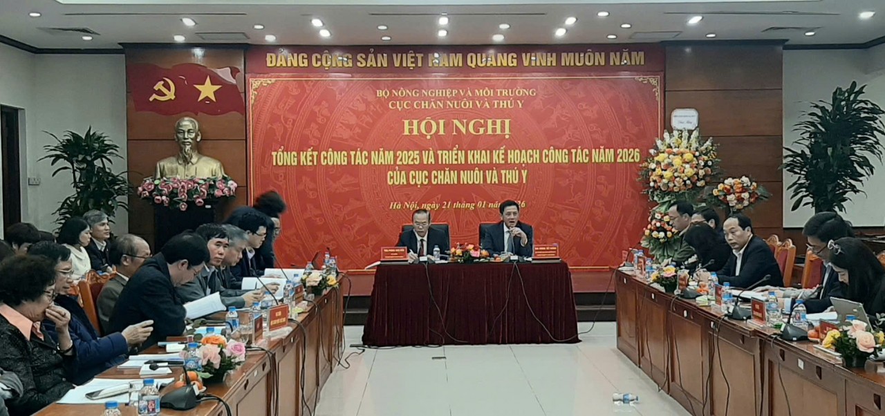 Giá sản phẩm chăn nuôi duy trì ở mức cao đã mang lại lợi nhuận cho người chăn nuôi