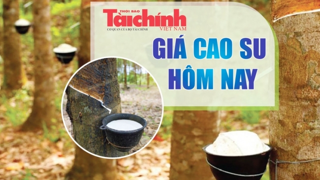 Ngày 25/1: Giá cao su kỳ hạn tại các thị trường châu Á đồng loạt tăng mạnh