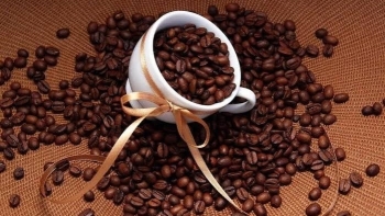 Ngày 25/1: Giá cà phê tăng mạnh, hồ tiêu neo cao ở ngưỡng 150.000 đồng/kg