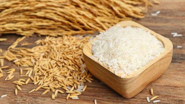 Ngày 26/1: Giá lúa gạo tại Đồng bằng sông Cửu Long đi ngang sáng đầu tuần