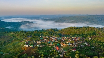 Gia Lai xúc tiến phê duyệt dự án ODA 17,193 triệu Euro về phục hồi, phát triển rừng bền vững