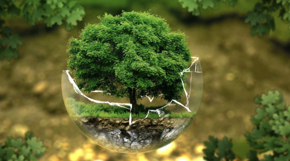 Thị trường trái phiếu xanh hướng đến phát triển theo chiều sâu