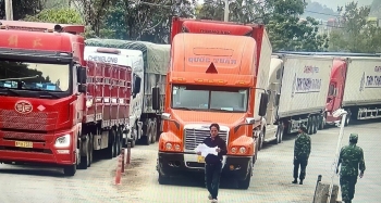 Trước 5/2/2026, ban hành hướng dẫn kiểm tra thực phẩm nhập khẩu theo Nghị định 46