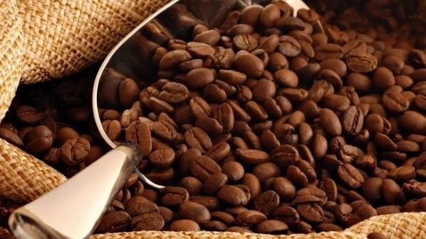 Ngày 4/2: Giá cà phê giảm mạnh, hồ tiêu neo cao ở mức 152.000 đồng/kg