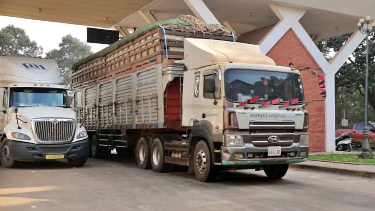 Chính phủ tạm dừng áp dụng Nghị định 46/2026/NĐ-CP về an toàn thực phẩm