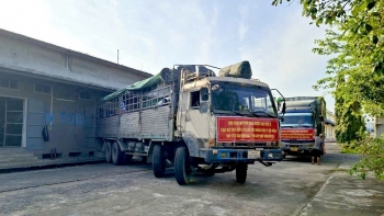 Xuất cấp hơn 1.685 tấn gạo dự trữ hỗ trợ nhân dân Đà Nẵng, An Giang dịp Tết Bính Ngọ