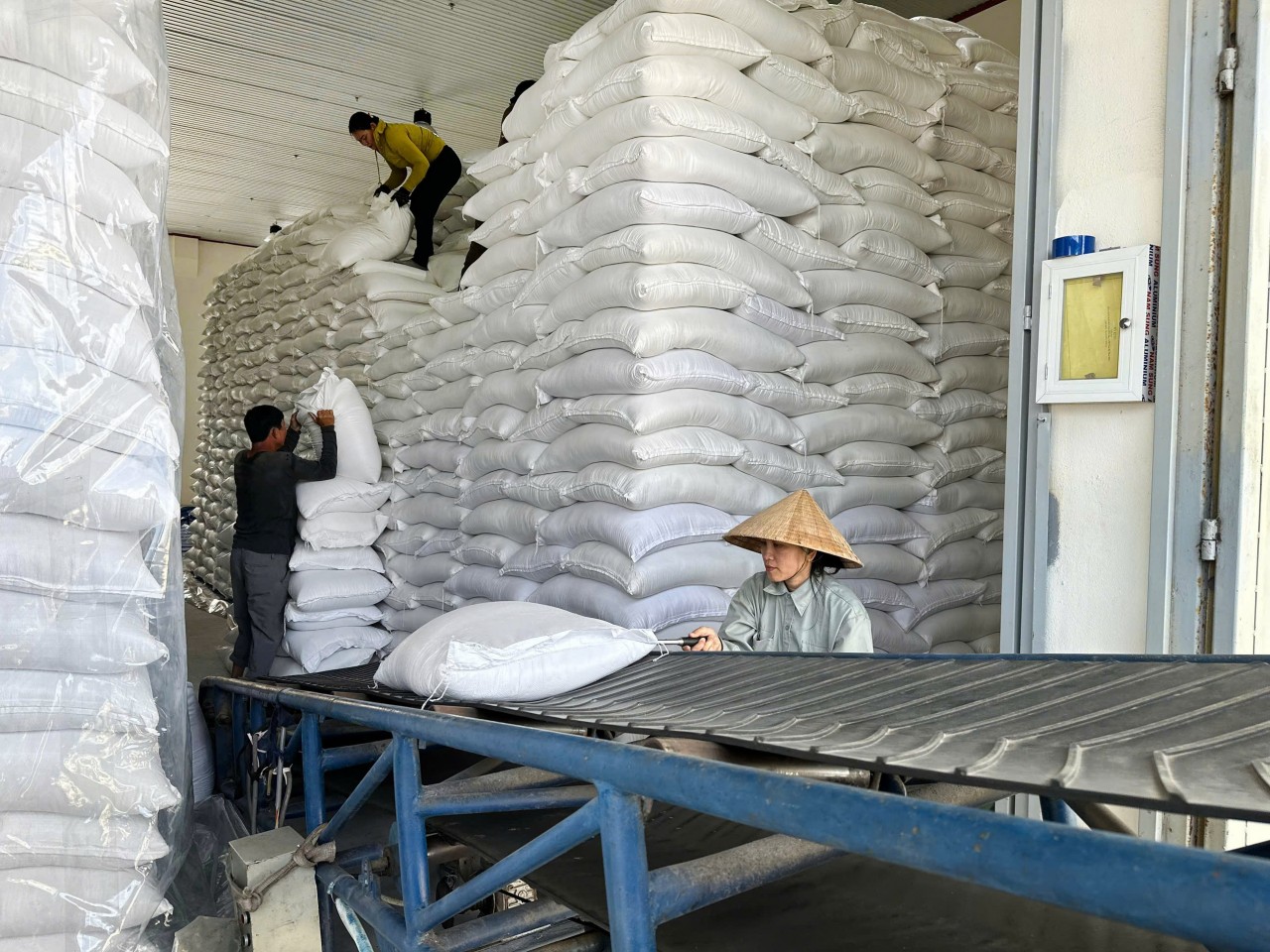 Xuất cấp hơn 1.661 tấn gạo dự trữ hỗ trợ nhân dân Thành phố Đà Nẵng, An Giang dịp Tết Bính Ngọ