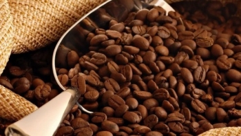 Ngày 11/2: Giá cà phê tiếp đà tăng mạnh, hồ tiêu giữ mặt bằng cao