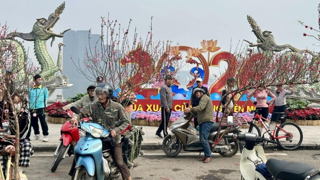 Đào, quất xuống phố, Hà Nội rực rỡ sắc Xuân Bính Ngọ 2026