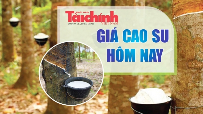 Ngày 19/2: Giá cao su kỳ hạn tại Nhật Bản hồi phục