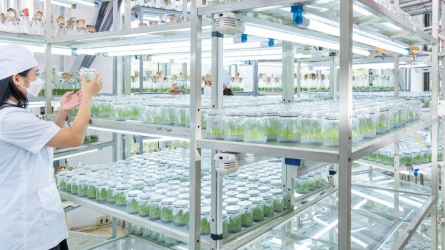 VINAFOR: Bản lĩnh doanh nghiệp nhà nước trong hành trình xanh hóa nền kinh tế