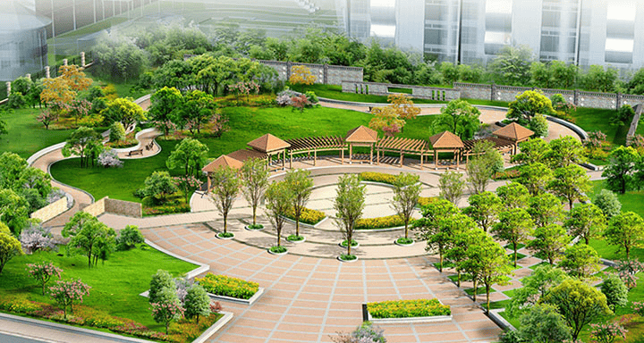 Siết kỷ luật quản lý tài sản công viên, cây xanh