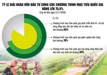 Tăng tốc giải ngân chương trình mục tiêu quốc gia, tạo đà tăng trưởng