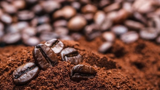 Ngày 28/2: Giá cà phê và hồ tiêu đồng loạt giảm mạnh