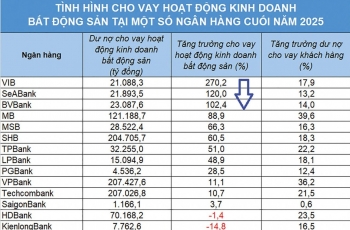 Tín dụng đổ mạnh vào bất động sản, nhiều nhà băng chủ động "rà phanh"