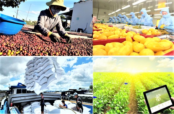 Việt Nam thu 11,3 tỷ USD từ xuất khẩu nông, lâm, thủy sản trong 2 tháng