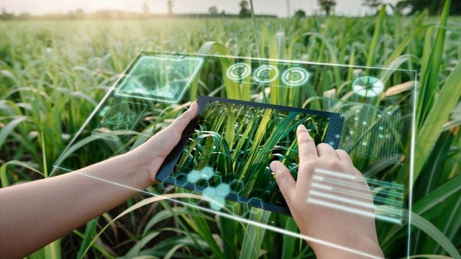 Hàng nghìn hộ dân tham gia bảo hiểm nông nghiệp, đề xuất mở rộng “lá chắn” rủi ro