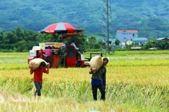 Hoàn thiện cơ chế, thúc đẩy giải ngân các chương trình mục tiêu quốc gia