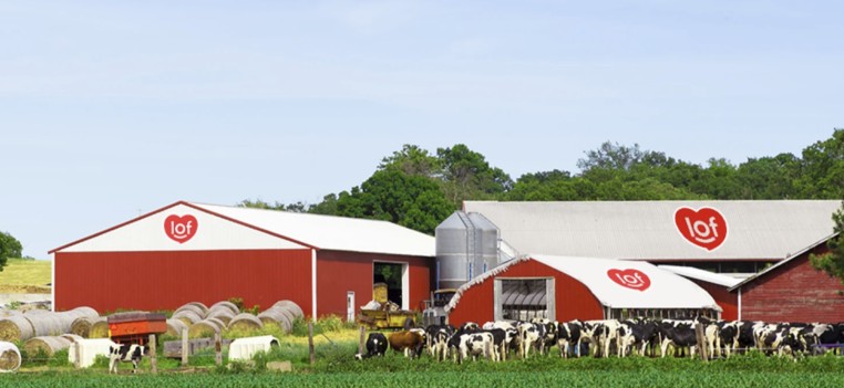 Sữa Quốc tế Lof lên kế hoạch tăng doanh thu hơn 11% trong năm 2026