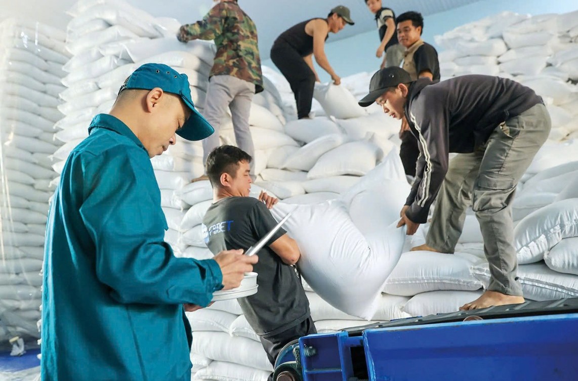 Xuất cấp hơn 49.000 tấn gạo hỗ trợ học viên, học sinh