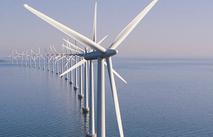 REE dự kiến chia cổ tức 25% và phát hành cổ phiếu thưởng