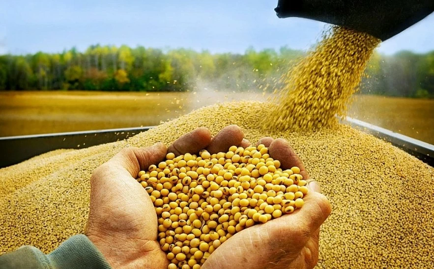 Giá đậu tương lên mức cao nhất trong 2 năm, dầu Brent vượt mốc 100 USD/thùng Giá đậu tương lên mức cao nhất trong 2 năm, dầu Brent vượt mốc 100 USD/thùng