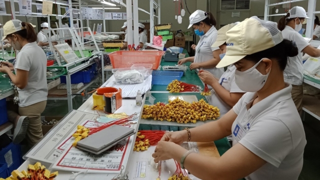 Nghiêm cấm doanh nghiệp sử dụng thông tin của cá nhân không chi trả thu nhập để quyết toán thuế thu nhập cá nhân