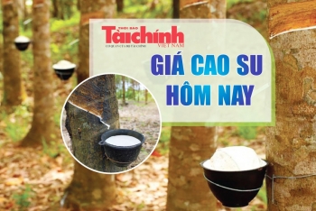Ngày 15/3: Giá cao su Nhật Bản, Trung Quốc và Singapore đồng loạt giảm