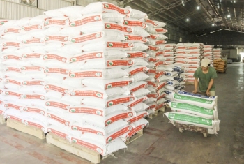 Kịch bản nào cho giá thức ăn chăn nuôi trước biến động Trung Đông?