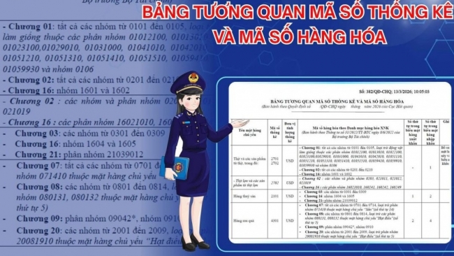 Hải quan ban hành bảng tương quan mã số, thuận lợi tra cứu và thống kê hàng hóa
