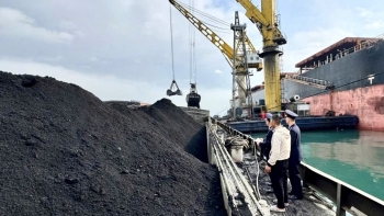 Hải quan cảng Cẩm Phả triển khai nhiều giải pháp hỗ trợ doanh nghiệp