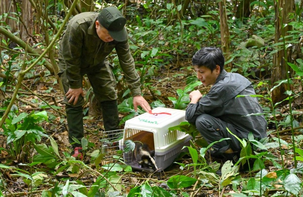 Công bố kế hoạch hành động tái hoang dã vườn quốc gia đầu tiên của Việt Nam